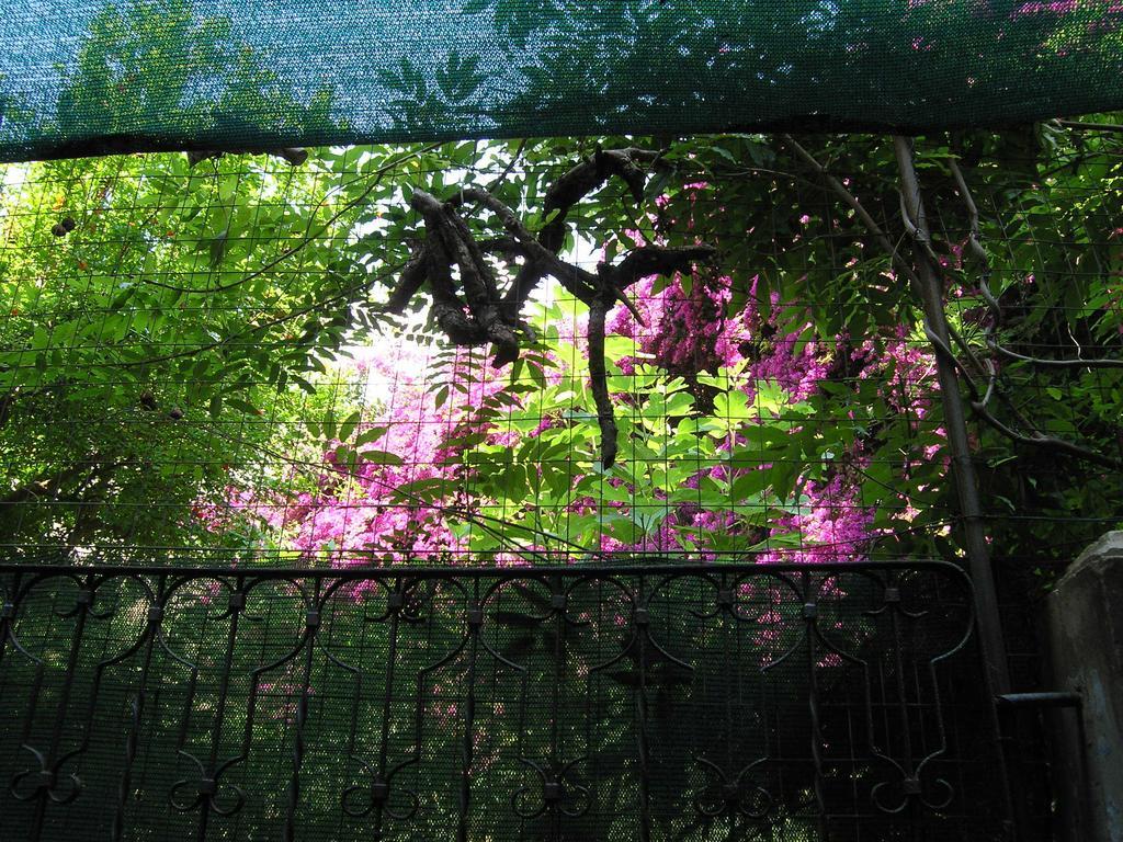 Malennio Bed & Breakfast